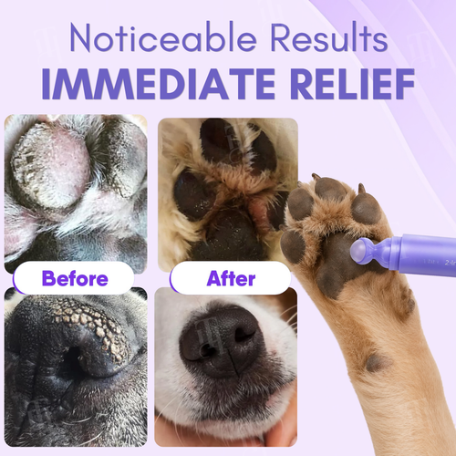 AEXZR® 2-in-1 Paw Relief Roll-On Balm